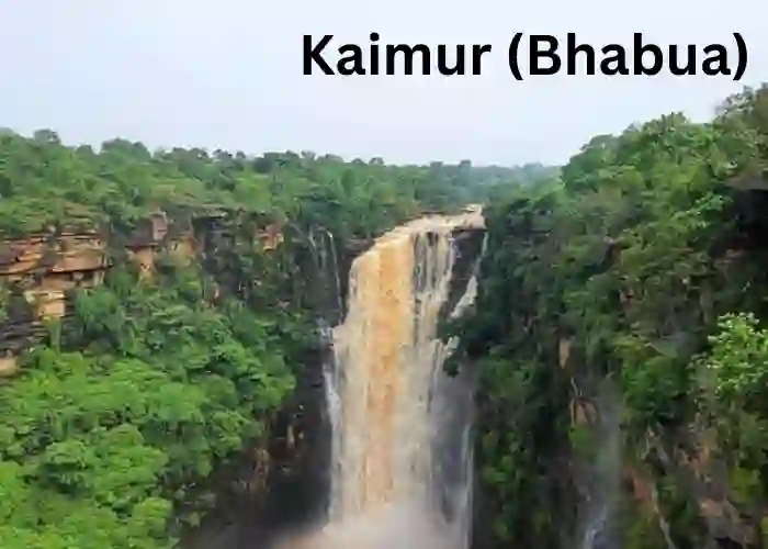 Kaimur