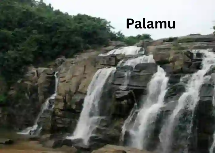 Palamu